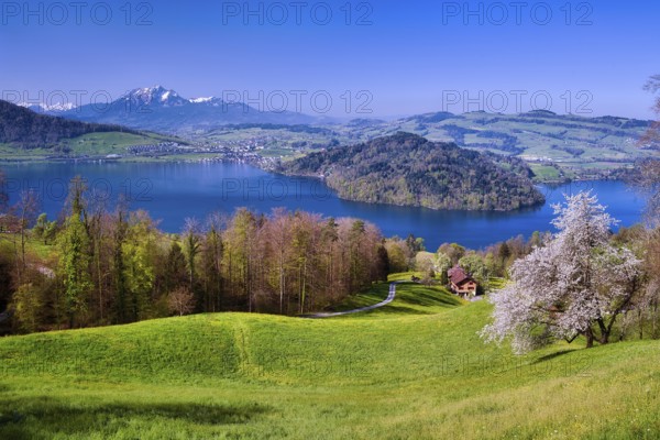 View of Lake Zug with Chiemen peninsula, behind it Mount Pilatus, Cantons Zug, Schwyz, Lucerne, Switzerland, Europe