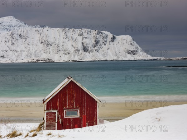 Red Rorbuer fisherman's hut on the beach in the snow, snow-covered mountains behind, Ramberg, Flakstadøya, Lofoten, Norway, Europe