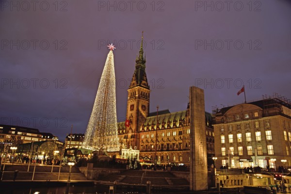 Europe, Germany, Hamburg, City Hall, Christmas, Tree of Lights, Hamburg, Hamburg, Federal Republic of Germany, Europe