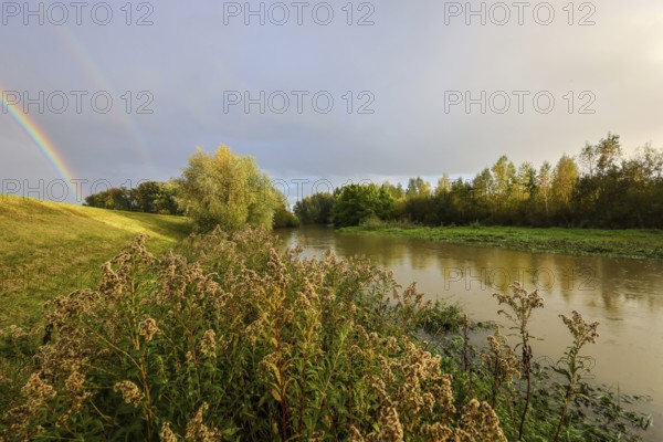 Bergkamen, Ruhr area, North Rhine-Westphalia, Germany, Autumn landscape with rainbow on the Seseke. The renaturalised Seseke, a tributary of the Lippe, has been transformed into a near-natural watercourse, flood protection and biodiversity through newly designed floodplains. Following the construction of a parallel sewer, the Seseke is now free of wastewater, having previously been an open, above-ground wastewater sewer, combined sewer with surface water and wastewater, Europe