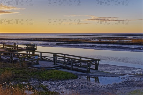 Evening landscape on the Wadden Sea. A footbridge leads over the mudflats. UNESCO World Heritage Site. Emmelsbüll-Hörsbüll, Schleswig-Holstein, Germany, Europe