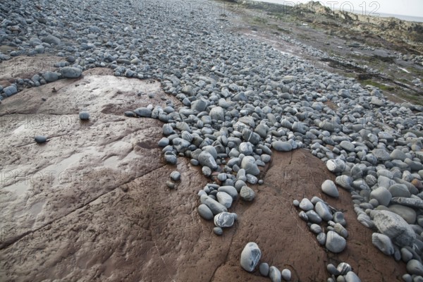 Attrition and abrasion on the wave cut platform as pebbles are rounded and transported, Watchet, Somerset, England, United Kingdom, Europe