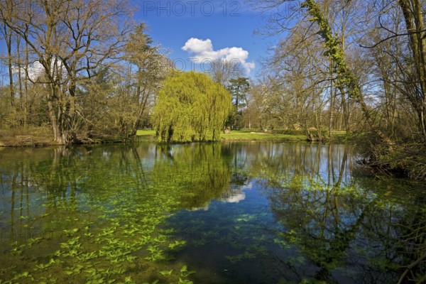 Paffendorf Castle, Castle Park, Route of Garden Art between the Rhine and Meuse with forest nature trail, Bergheim, North Rhine-Westphalia, Germany, Europe