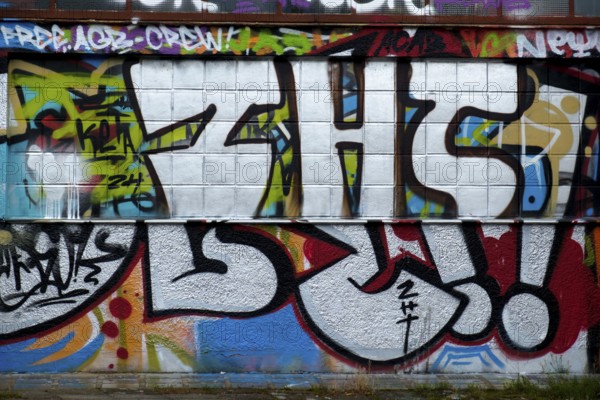 Graffiti wall in white and grey with various colourful details, Landau, Rhineland-Palatinate, Germany, Europe