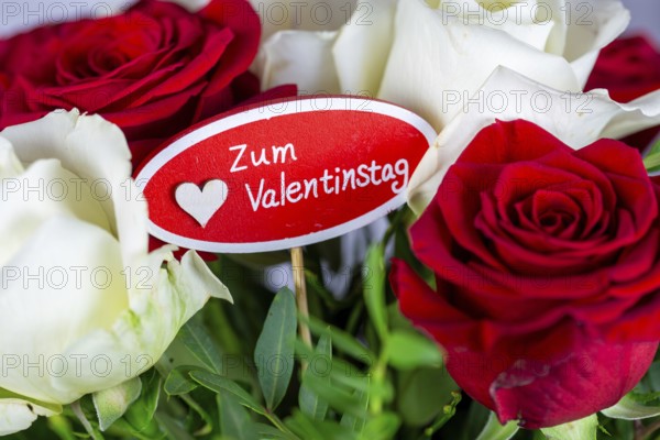 Valentine's greetings: Warm Valentine's Day greetings with a bouquet of white and red roses