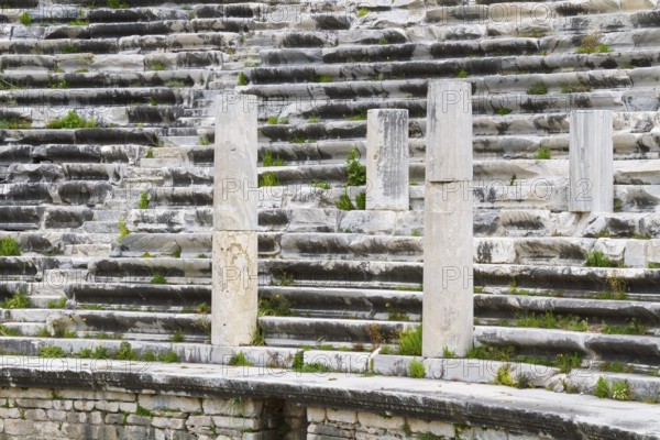 Detail of the theatre of Priene, Priene, Güllübahçe, Aydin province, Aegean region, Turkey, Asia