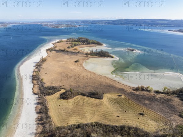 Aerial view of the Mettnau peninsula near Radolfzell on Lake Constance at low tide, the island of Reichenau on the horizon, district of Constance, Baden-Württemberg, Germany, Europe
