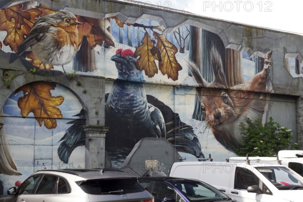 A mural showing birds and a squirrel in an autumn and winter landscape, Mural Trail, Glasgow, Scotland, United Kingdom, Europe