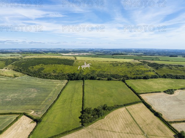 Fields and farms over Osmington White Horse from a drone, Osmington Hill, Weymouth, Dorset, England, United Kingdom, Europe