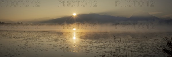 Sunrise at Lake Hopfensee near Füssen, behind Hopfen am See, the Tegelberg massif and the Säuling, Ostallgäu, Allgäu, Upper Swabia, Swabia, Bavaria, Germany, Europe