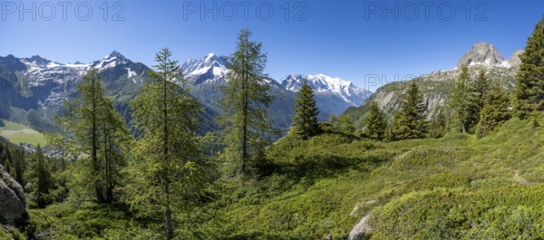 Mountain panorama with glaciated mountain peaks, Aiguille Verte with Aiguille du Midi and Mont Blanc, hike to Aiguillette des Posettes, Chamonix, Haute-Savoie, France, Europe