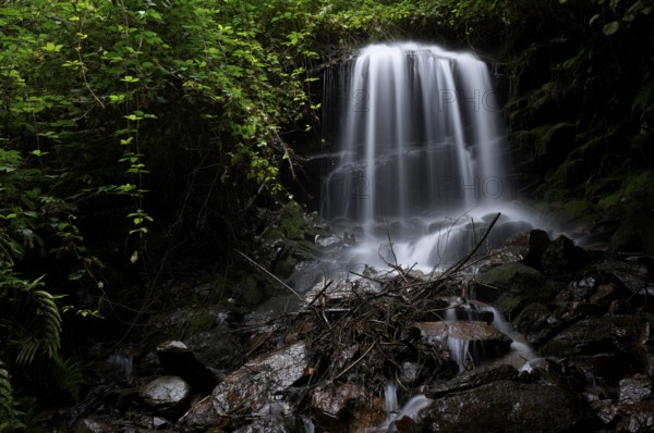 Waterfall on the Schenner Waalweg, Neuwaal, stream, long exposure, Schenna, Scena, South Tyrol, Autonomous Province of Bolzano, Italy, Europe