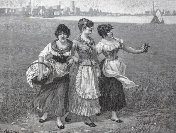 Three young woman in a meadow collecting clover, 1890, Germany, digital reproduction of an original from the 19th century, historical, Europe