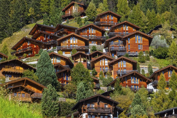 Wooden chalets built into the hillside, Grimentz, Val d'Anniviers, Valais Alps, Canton Valais, Switzerland, Europe
