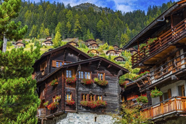 Wooden houses decorated with flowers in the historic village centre, Grimentz, Val d'Anniviers, Valais Alps, Canton Valais, Switzerland, Europe