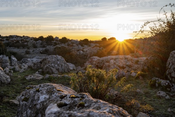 Bizarre limestone rock formations, El Torcal nature reserve, Torcal de Antequera, Malaga province, Andalusia, Spain, Europe
