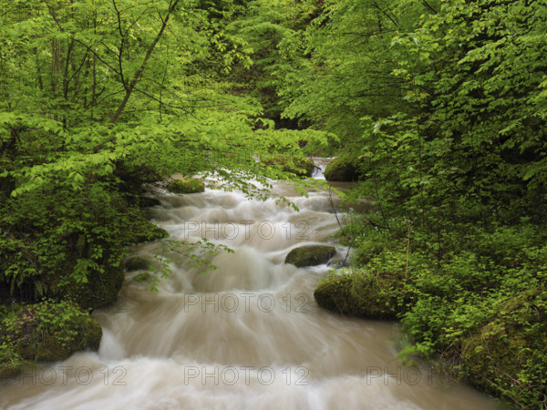 Flood at the Aabach, Horgen, Canton Zurich, Switzerland, Europe