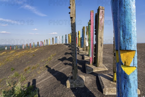 The Haniel spoil tip, 185 metre high spoil tip at the Prosper Haniel mine, which was closed in 2019, artwork Totems by the sculptor Augustin Ibarrola, Bottrop, Germany, Europe