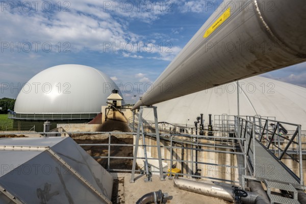 Biogas plant, gas storage, with dome, use of solid manure as energy source, gas pipelines, on a farm near Lippling, close to Delbrück in East Westphalia, in the district of Paderborn, 1.5 megawatts of electrical power, production of district heating for homes in the region, North Rhine-Westphalia, Germany, Europe