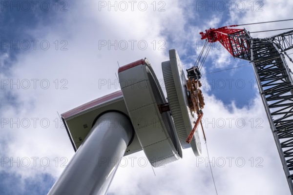 Erection of a wind turbine, wind energy plant, assembly of the ring generator, with a crawler lattice crane, wind farm near Hagen, North Rhine-Westphalia, Germany, Europe