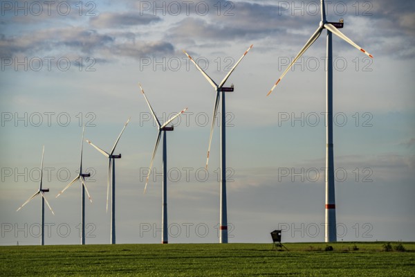 RWE wind farm near Bedburg, at the Garzweiler opencast mine, on recultivated part of the opencast lignite mine, Nordex N163 wind turbine, North Rhine-Westphalia, Germany, Europe