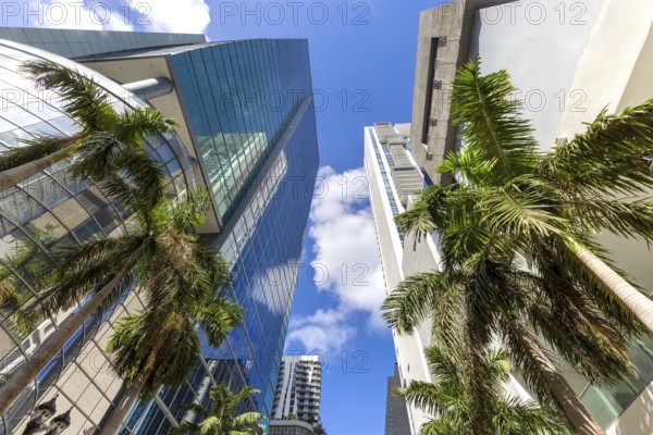Miami downtown financial skyline and business shopping center near Biscayne bay and South beach