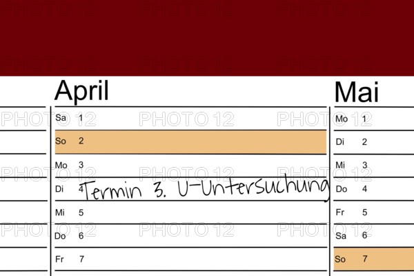 Symbolic image: Appointment diary with note for a U-examination appointment (children)
