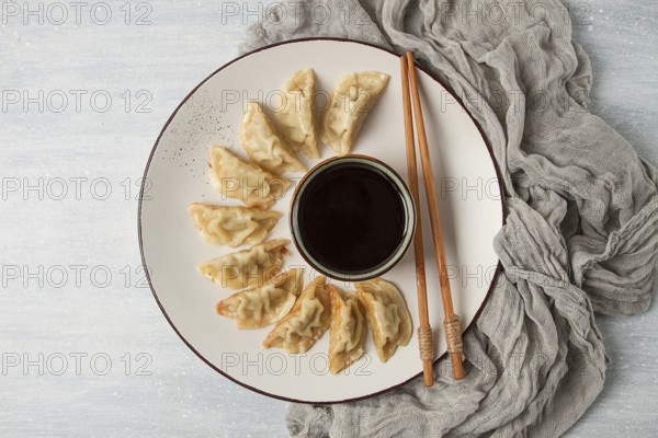 Japanese Gyoza dumplings, fried, with sauce, top view, without people, tinted, selective focus