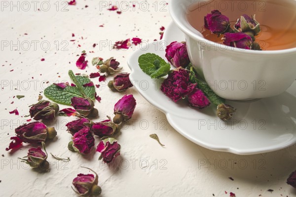 Cup of tea, damask rose, pink tea, close-up
