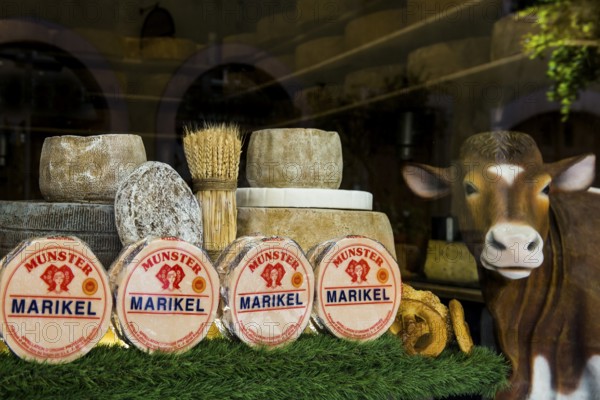 Cheese shop, Cheese shop, Old town, Colmar, Alsace, Bas-Rhin, France, Europe
