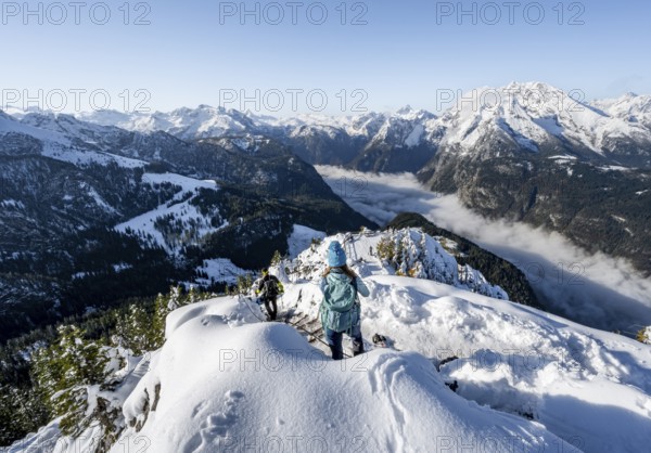 Mountaineers on the snowy summit of the Jenner in autumn, view of the sea of clouds and the Watzmann, Berchtesgaden National Park, Berchtesgaden Alps, Schönau am Königssee, Berchtesgadener Land, Bavaria, Germany, Europe