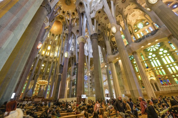 Nave, ceiling vault, columns, Sagrada Familia, Basilica by Antoni Gaudi, Barcelona, Catalonia, Spain, Europe