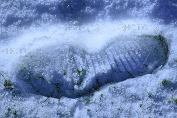 Tracks in the snow