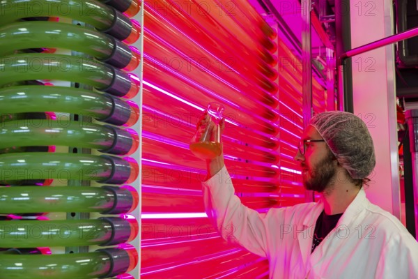 PUEVIT GmbH produces the most efficient photobioreactors for the cultivation of microalgae. The aim is to revolutionise the supply of raw materials through microalgae production. Innovative technological solutions have been developed for the growth and harvesting of spirulina, chlorella and other microalgae, for example, which enable unique efficiency, unprecedented simplicity and maximum stability in what is probably the most compact tube system on the market. Raw, unprocessed spirulina is produced as a fresh, regional food under the ALGENWERK brand. The algae grow in our own facilities and are harvested and freshly packaged directly without any further processing. Leander Seibel in the Spirolina production, commissioning of the full production of the algae plant of the company Puevit, Dresden, Saxony, Germany, Europe