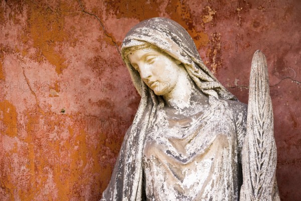 White angel with feather in front of red wall, angel statue, angel figure with peaceful face, portrait, weathered, historical tombstone at the Bergmannstraße cemeteries, Berlin-Kreuzberg, Berlin, Germany, Europe