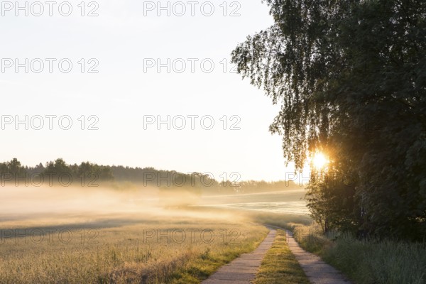 Field path between meadows and grain field with morning mist at sunrise, Bischofswerda, Saxony, Germany, Europe
