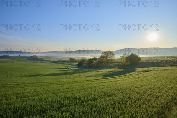 A peaceful landscape with green fields, hills and trees at sunrise with light fog, Mönchberg, Miltenberg, Spessart, Bavaria, Germany, Europe