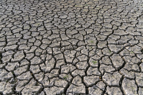 Dry ground, cracked, dried-up riverbed, in a branch of the Rhine, near Duisburg