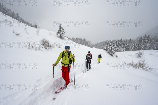 Ski tourer in snowfall in mountain landscape, ascent to Taubenstein, Mangfallgebrige, Bavaria, Germany, Europe