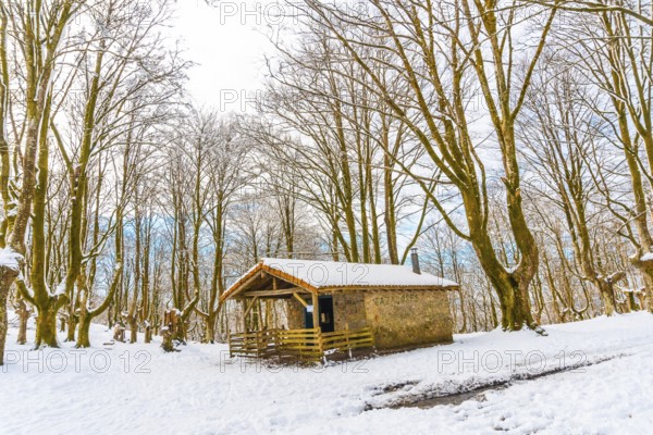The refuge next to trees in the snow-covered Oianleku Natural Park in the town of Oiartzun, next to Peñas de Aya in winter, Gipuzkoa. Basque Country