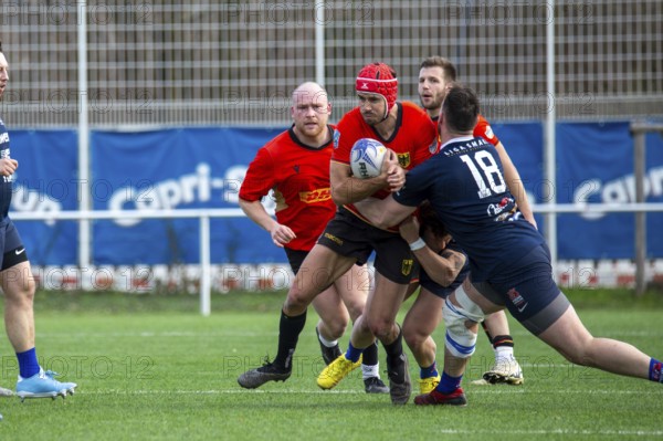 Rugby: Germany against MKS Pogon Awenta Siedlce, Poland in Heidelberg (test match of the German national rugby team in preparation for the upcoming World Cup qualifiers)
