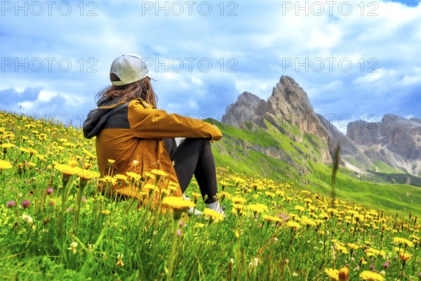Young woman sitting in a field of yellow flowers admiring the odle mountain group in the italian dolomites