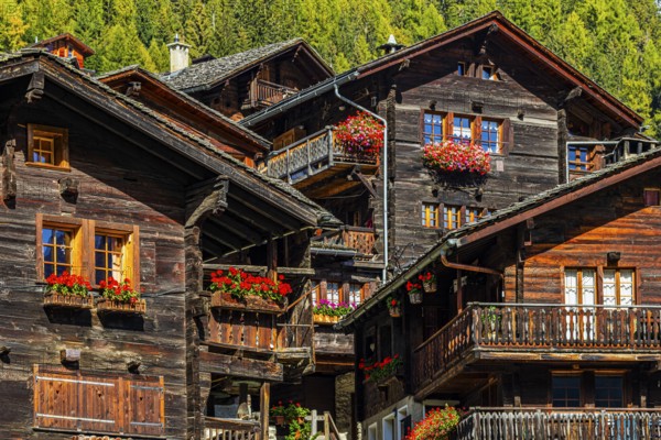 Old wooden houses decorated with flowers in the historic village centre, Grimentz, Val d'Anniviers, Valais Alps, Canton Valais, Switzerland, Europe