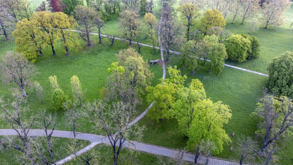 Rosenstein Park in spring with old trees and paths through the landscaped park. Aerial view. Stuttgart, Baden-Württemberg, Germany, Europe
