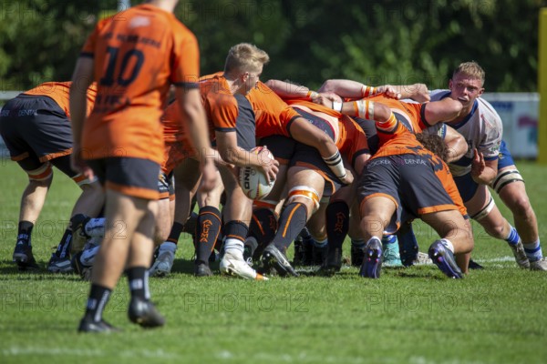 07.09.2024, Rugby 1st Bundesliga South/West, Season 2024/25, Matchday 1: RG Heidelberg vs TSV Handschuhsheim