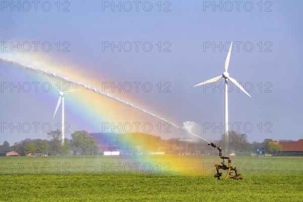 Artificial irrigation of a cereal field in April, with a sprinkler system, long dry spell in spring makes this necessary for the young plants to grow well, Kerken, Lower Rhine, North Rhine-Westphalia, Germany, Europe