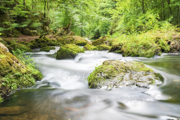 River Trieb in the Triebtal valley between the Pöhl dam and its confluence with the Weiße Elster, Vogtland, Saxony, Germany, Europe