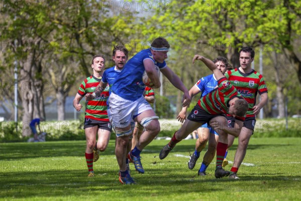 Heidelberg, 06.04.2024, Rugby 1st Bundesliga South/West, Season 2023/24, Matchday 10: SC Neuenheim vs RK Heusenstamm (93:7)