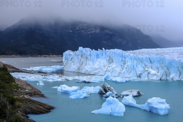El Calafate, Patagonia, Argentina, Perito Moreno Glacier in Los Glaciares National Park. The Perito Moreno Glacier is part of the Patagonian ice field, the Campo Hielo Sur, the third largest freshwater reserve in the world. It is located in the province of Santa Cruz on Lago Argentino, the country's largest lake. The Perito Moreno Glacier is up to 30 kilometres long and 5 kilometres wide. Its edge is 70 metres high at its highest point. Small icebergs that have broken off from the glacier float in Lago Argentino. The glacier is one of the most beautiful sights in South America and is one of the most visited attractions in Argentina, South America