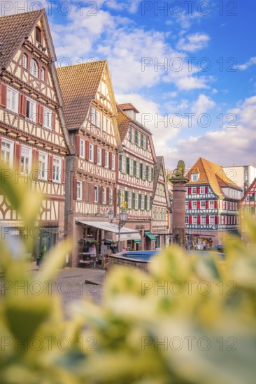 Colourful half-timbered houses in a historic town, blue sky and romantic flair, Calw in spring, Black Forest, Germany, Europe